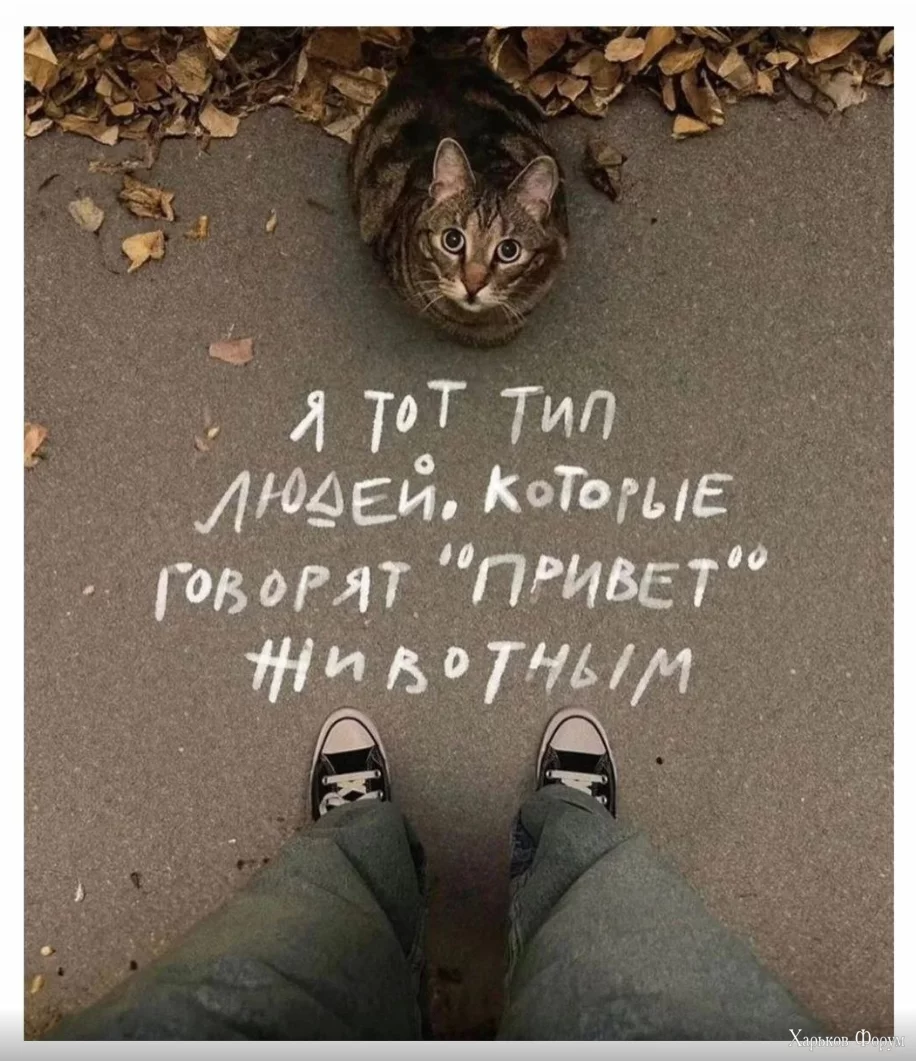 1701266640522.webp