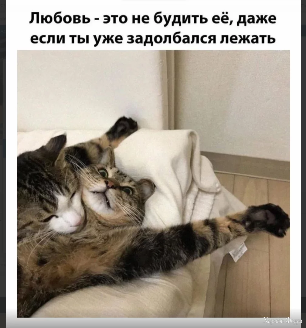 1701358269757.webp