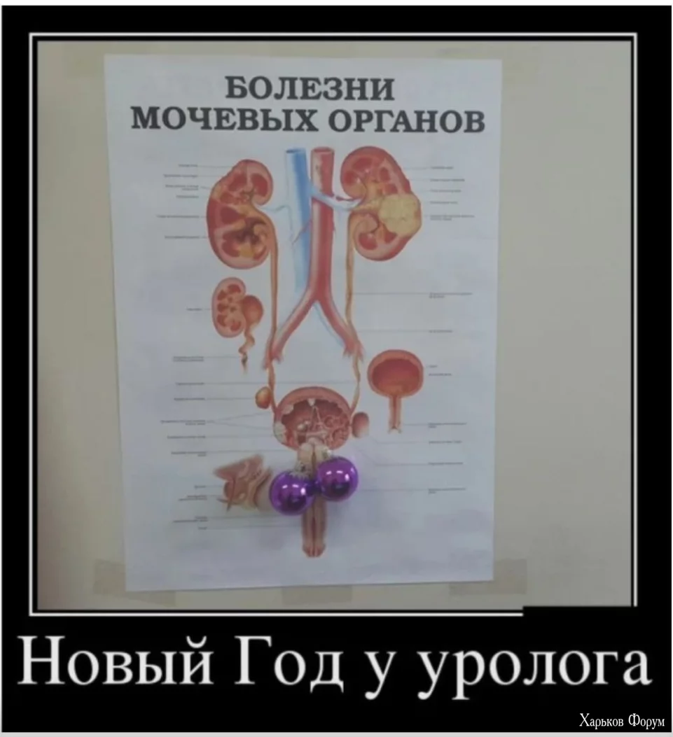 1701430150333.webp