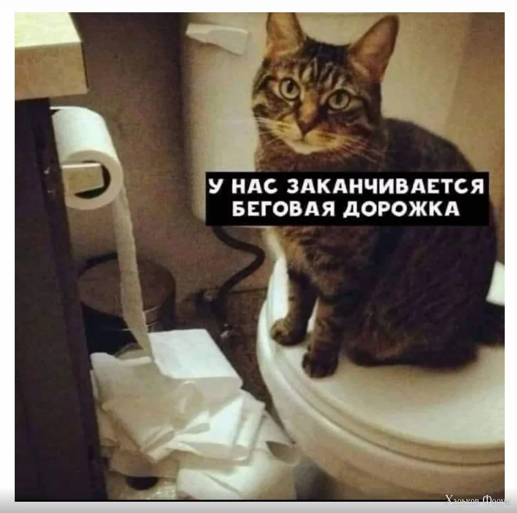 1701430258292.webp