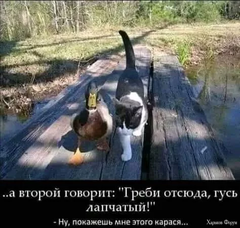 1701472341477.webp