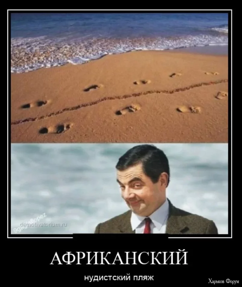 1701521837607.webp
