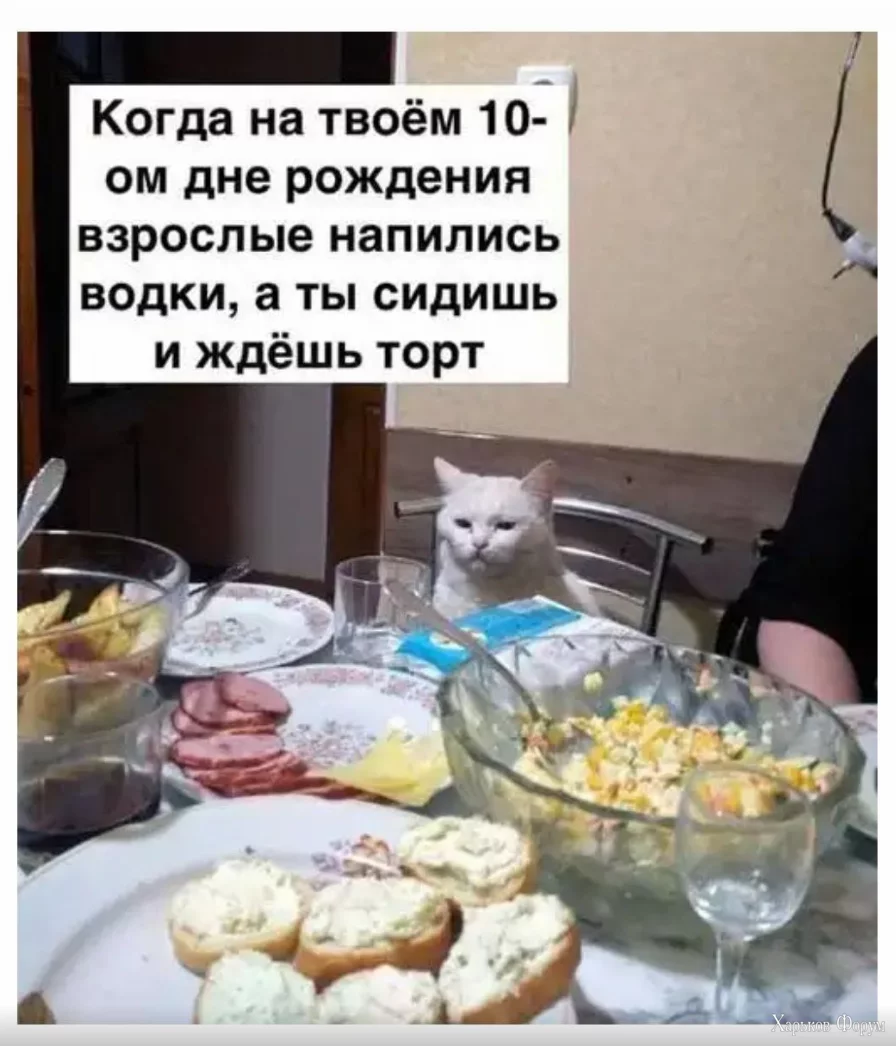 1701521864589.webp