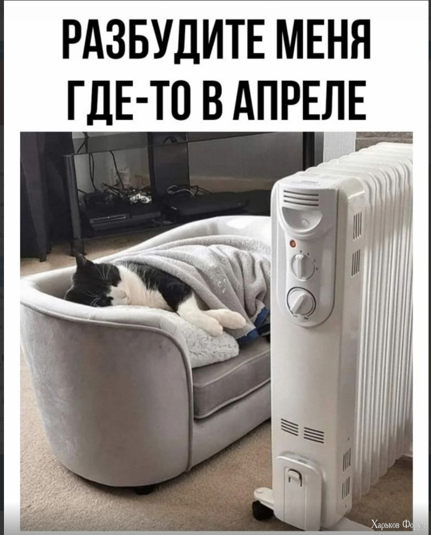 1701521935528.png