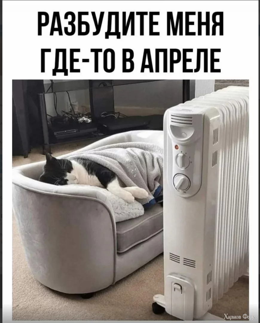 1701521935528.webp