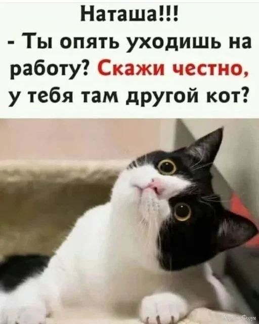 1701549758904.webp