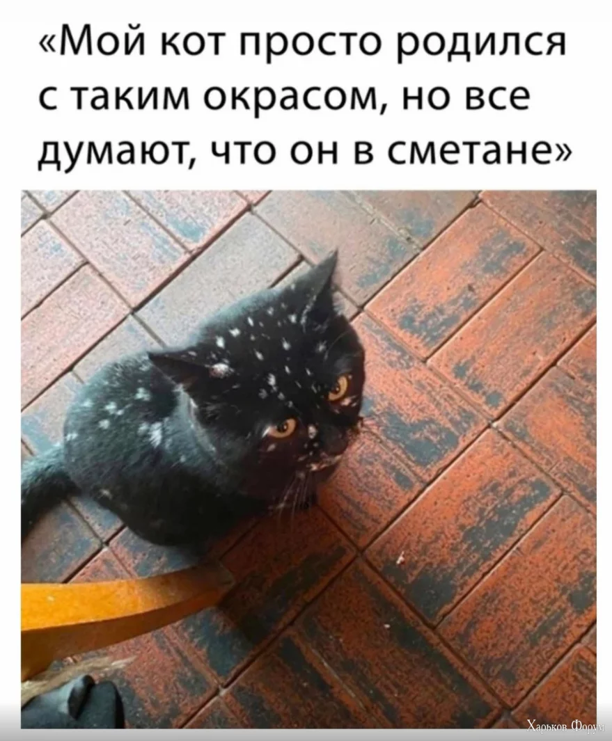 1701685478552.webp