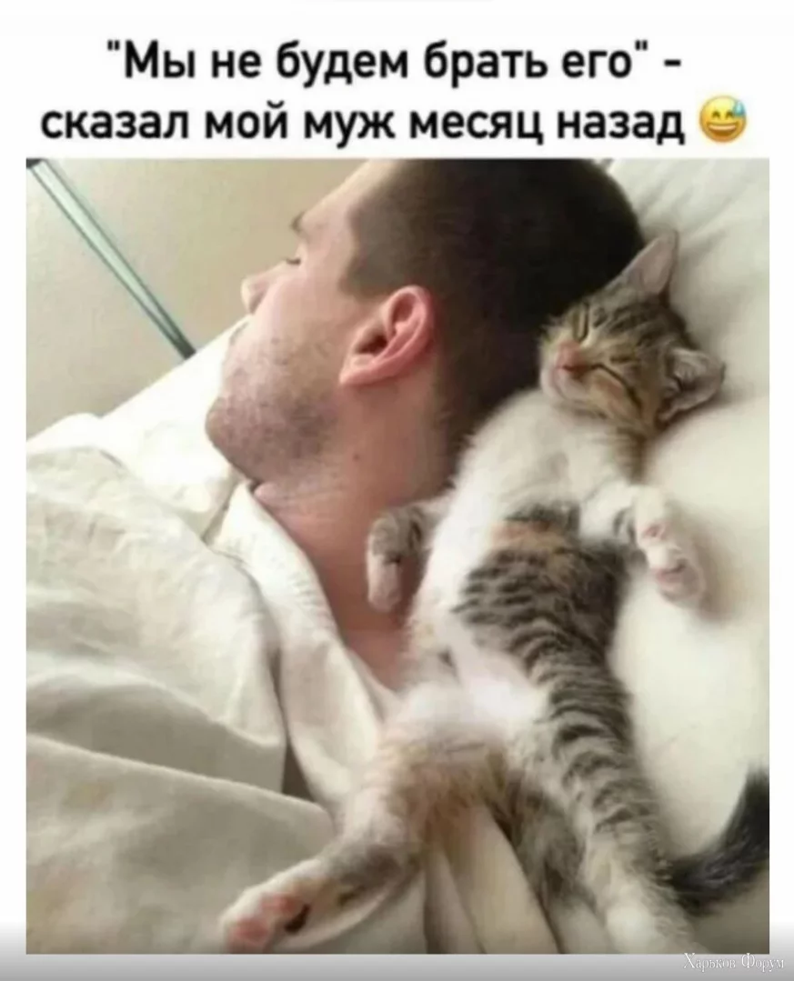1701685500722.webp