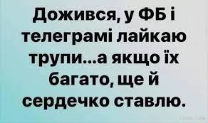 1701705794472.webp