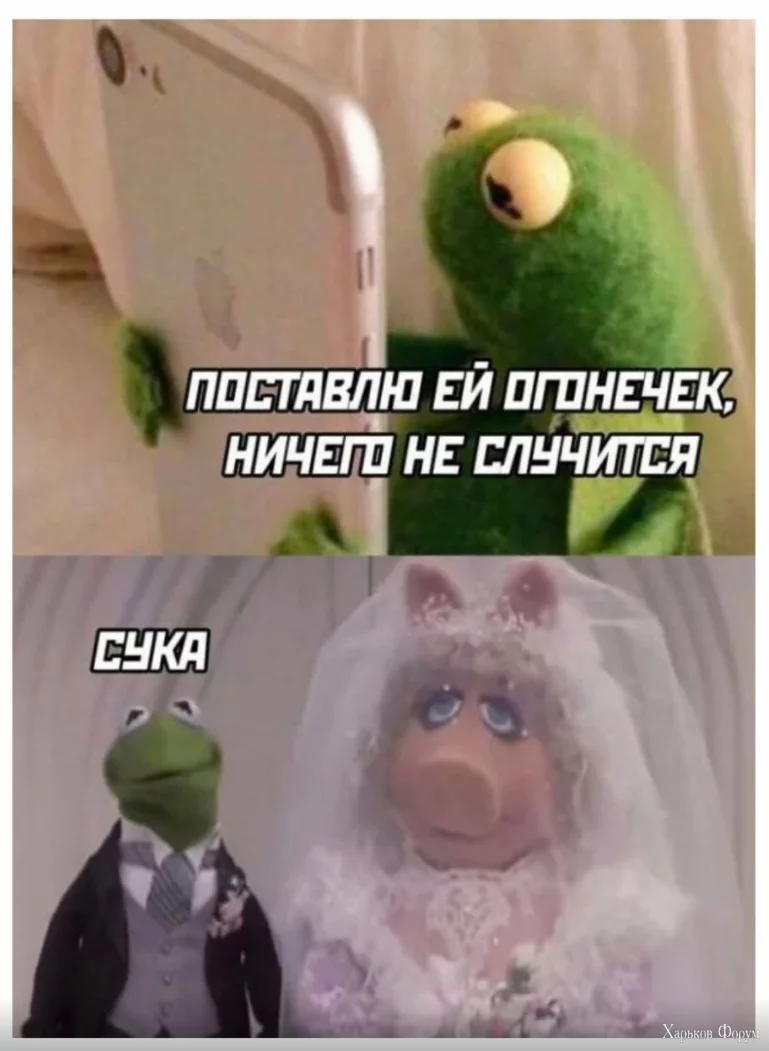 1701716264369.webp