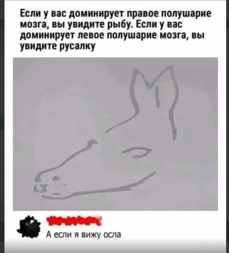 1701797295662.webp