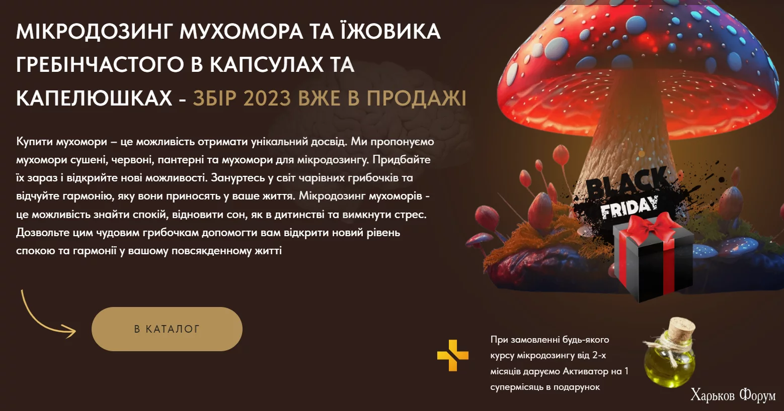 1701939004666.webp
