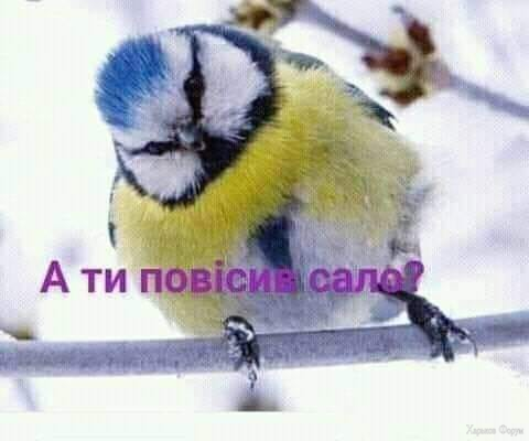 1701976070738.png