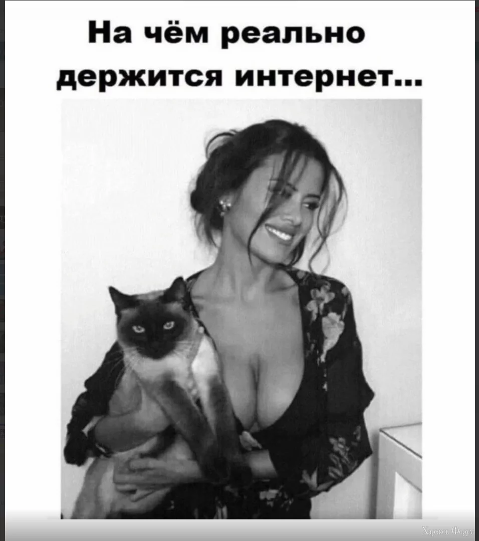 1702056183727.webp