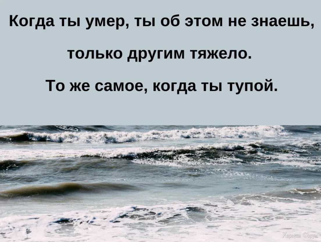 1702151056704.webp