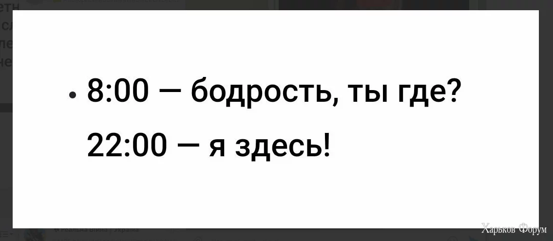 1702214305186.webp