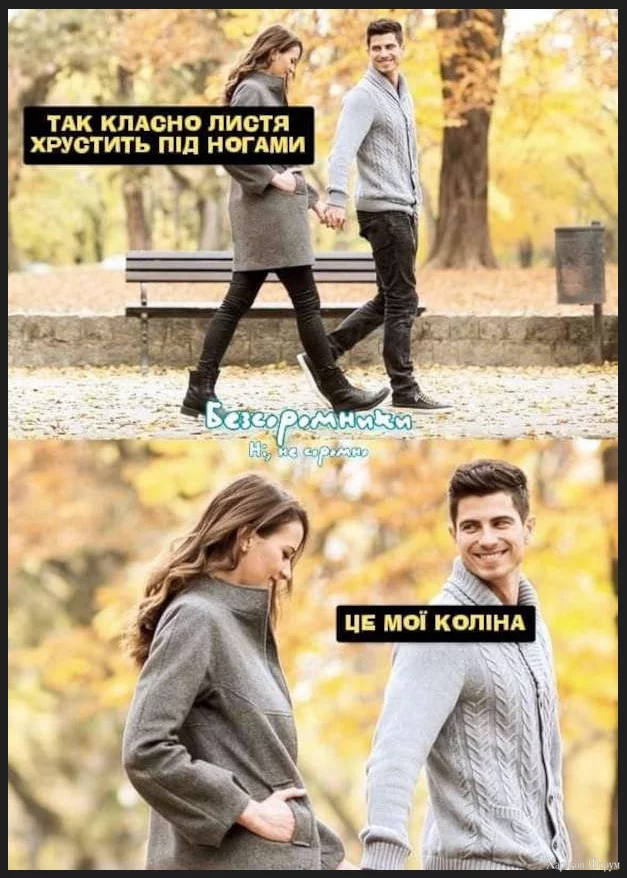 1702233772771.webp
