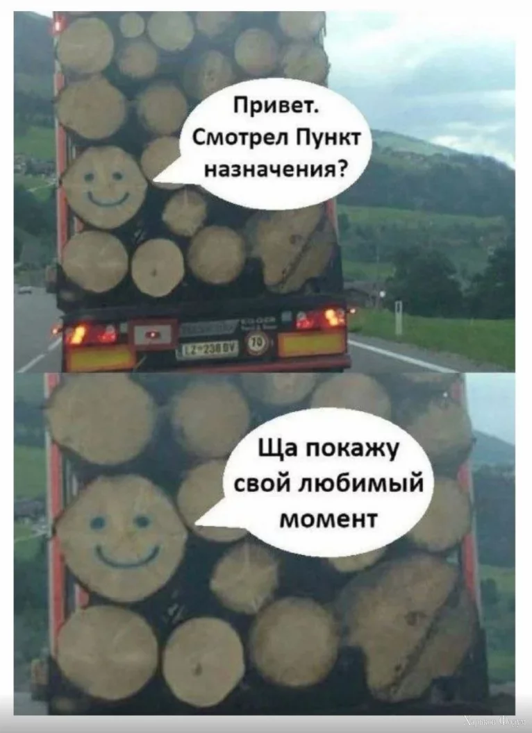 1702308467872.webp