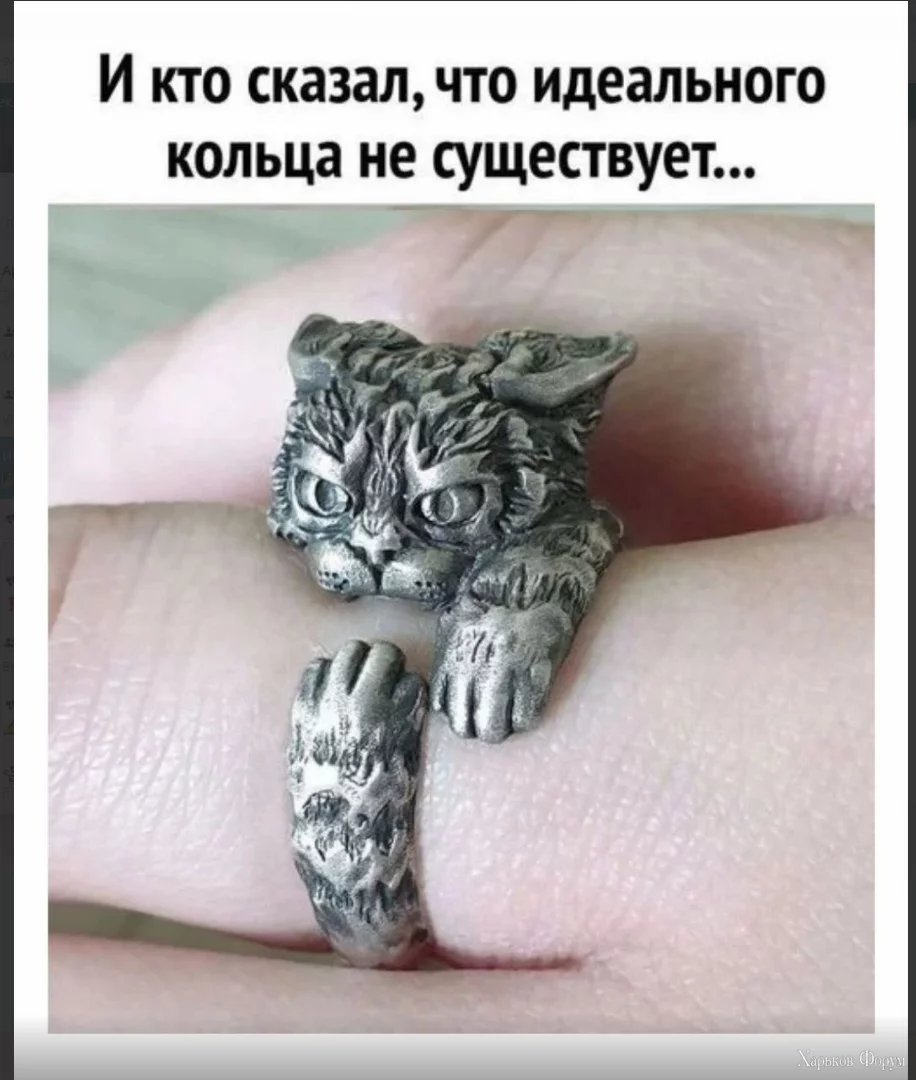1702308500653.webp