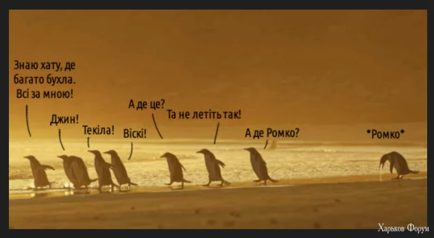 1702309237396.webp