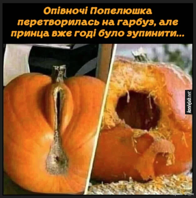 1702322197706.webp