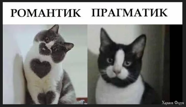 1702322291620.webp