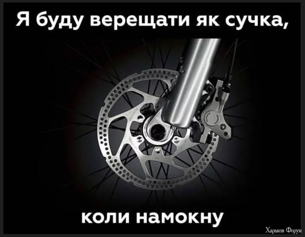 1702322687420.webp