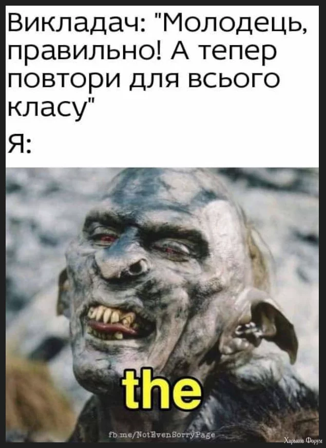 1702322739246.webp