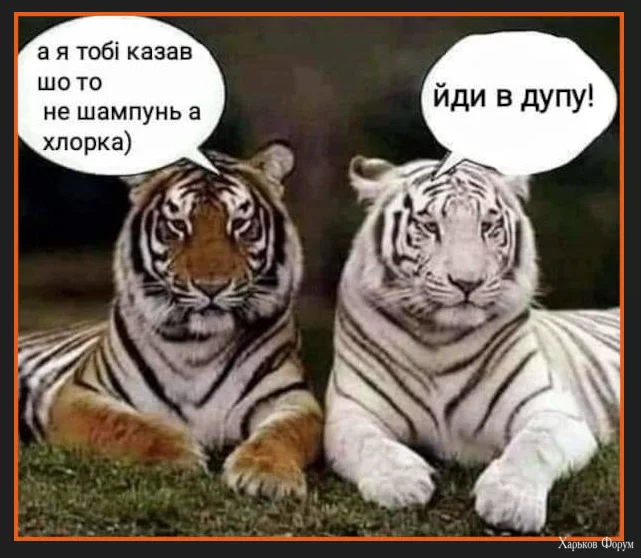 1702322772910.webp
