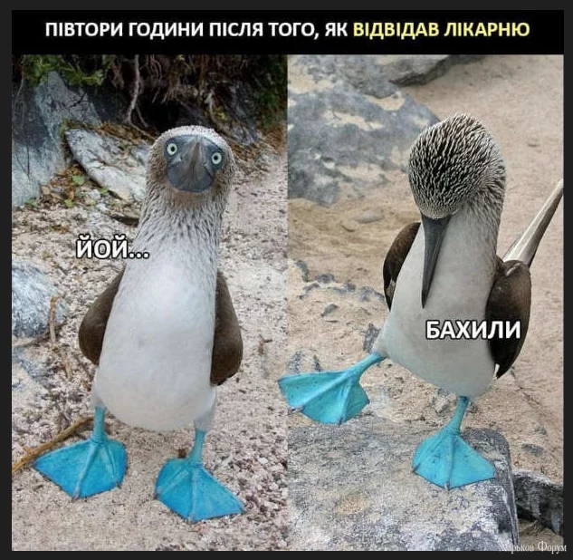 1702322973869.webp