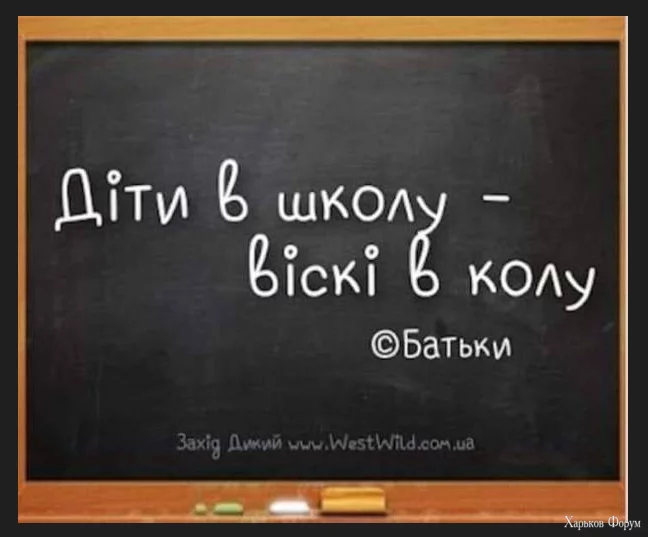 1702323219142.webp