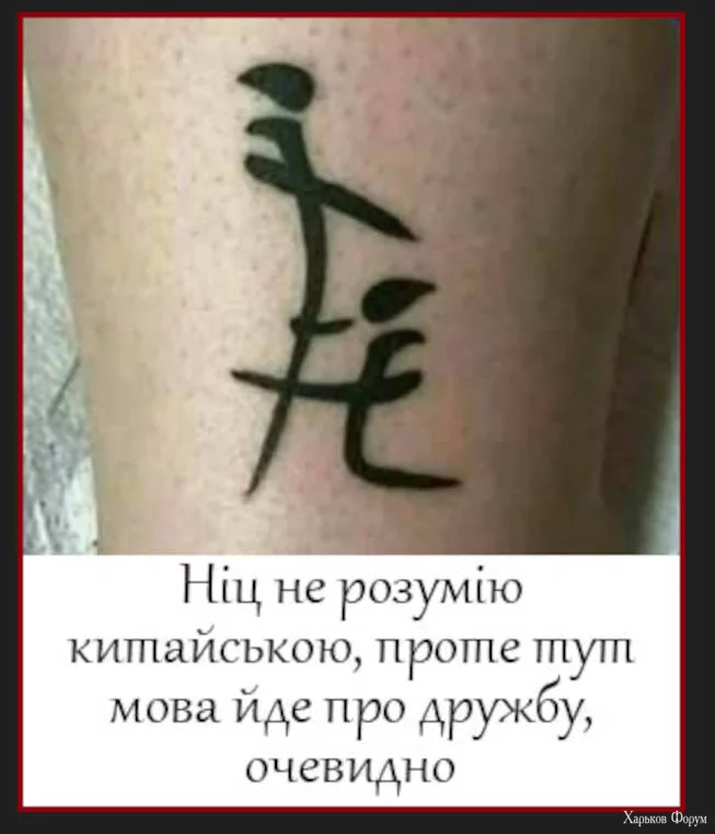 1702323350366.webp