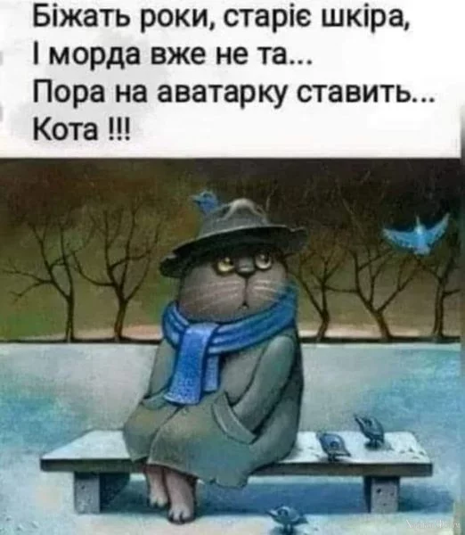 1702330079930.webp
