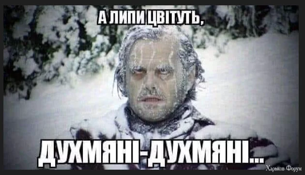 1702378449138.webp