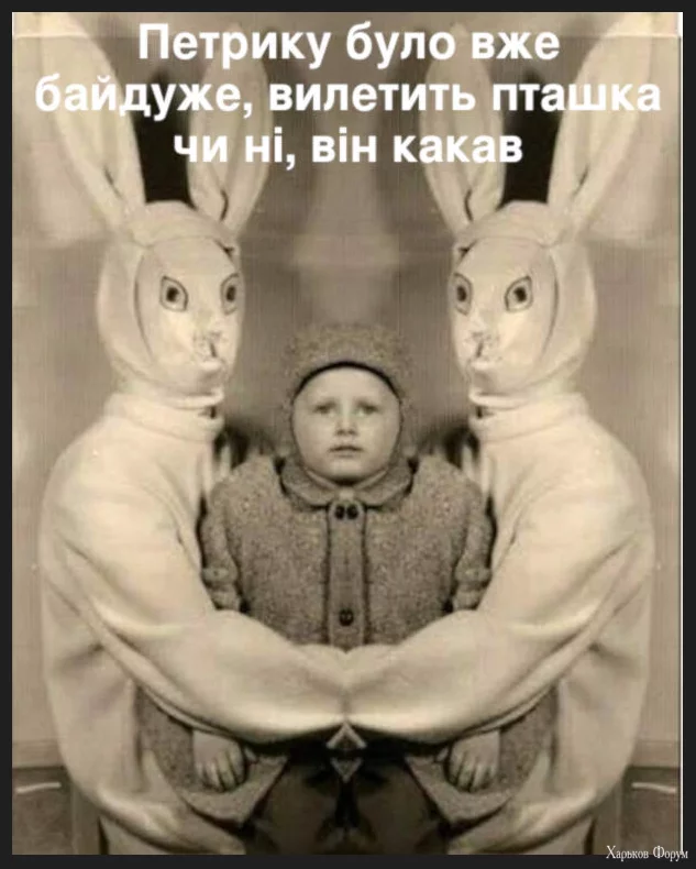 1702383575932.webp
