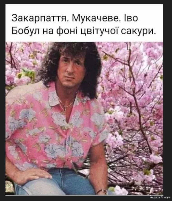 1702383655768.webp