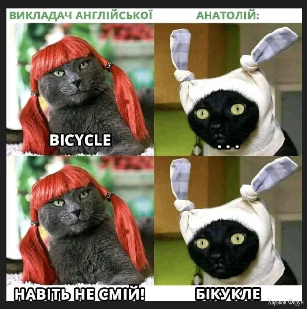 1702383908480.webp