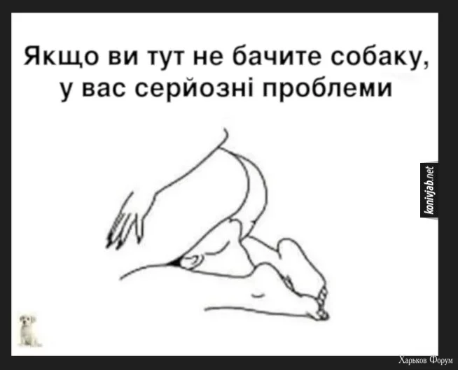 1702465094135.webp