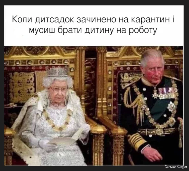 1702465426821.webp