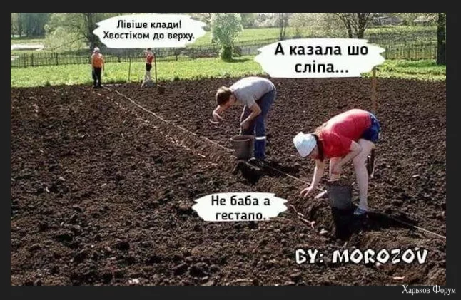 1702465579055.webp