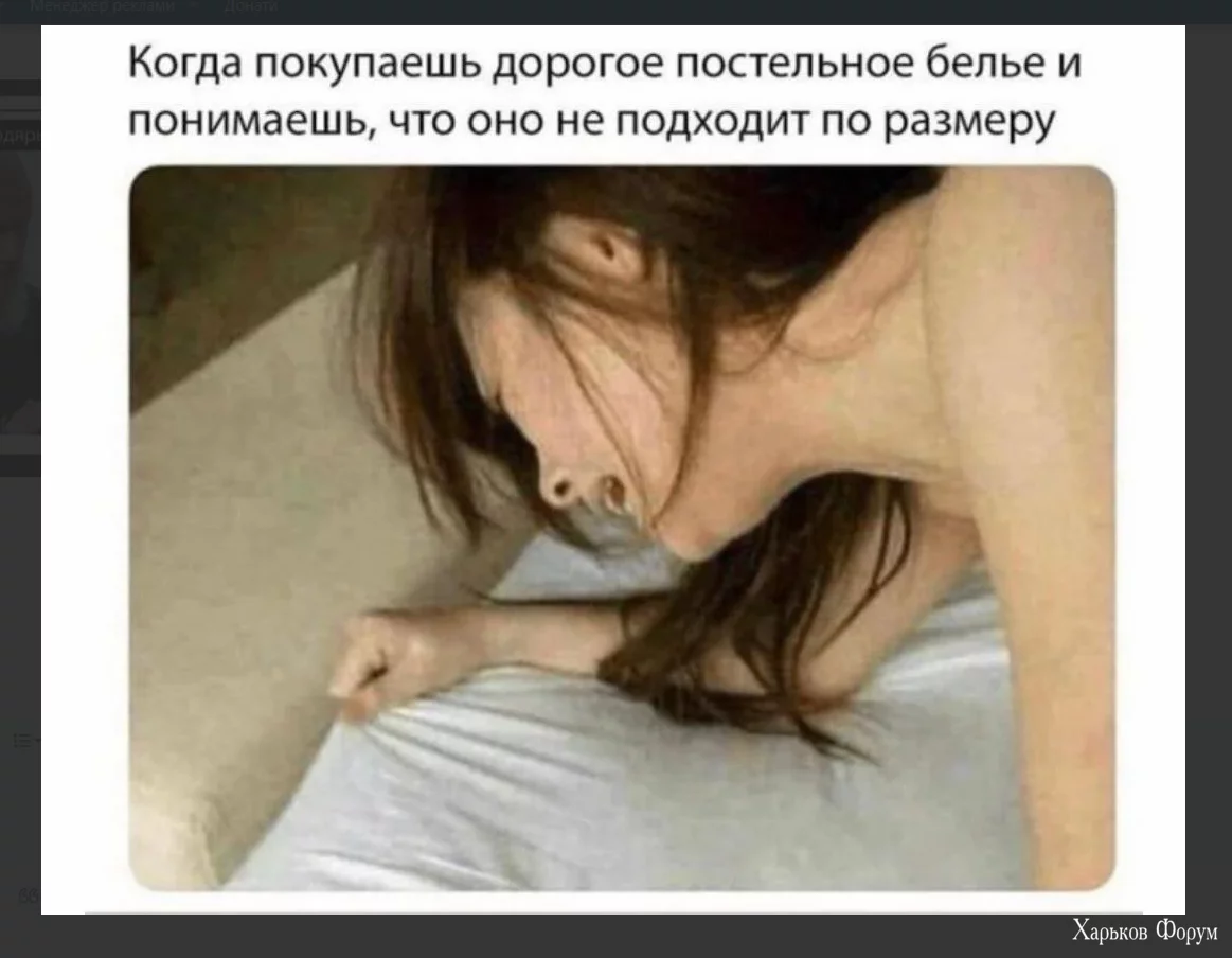 1702479735673.webp