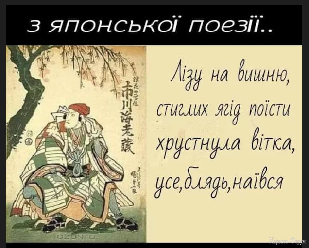 1702546412573.webp