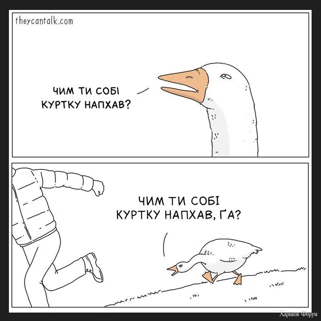 1702547457978.webp
