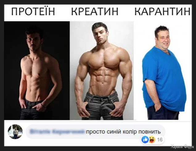 1702647343231.webp