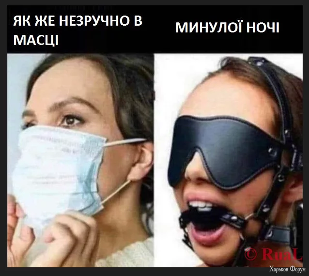 1702647533303.webp