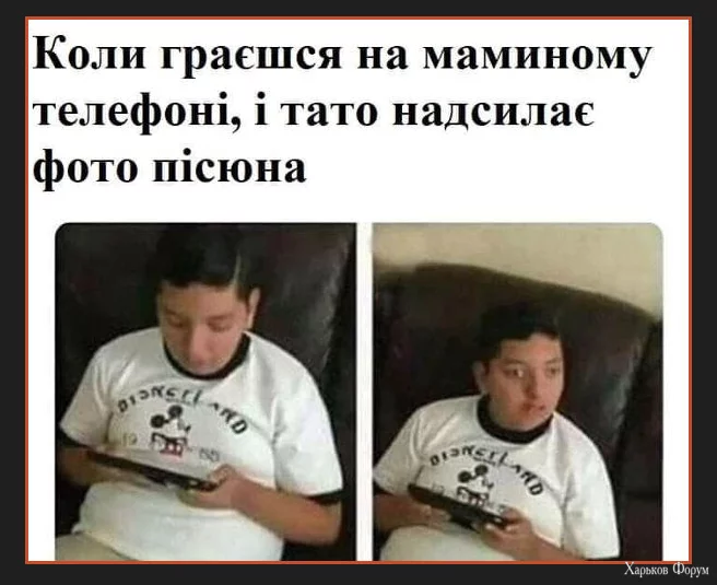 1702647617818.webp