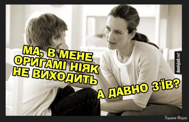 1702653605292.webp
