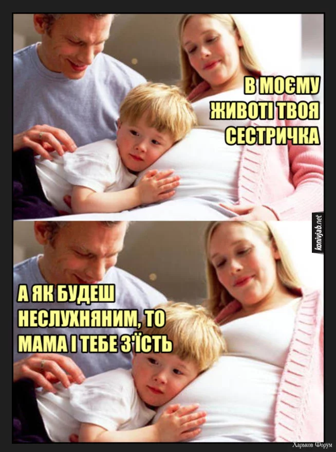 1702653687326.webp