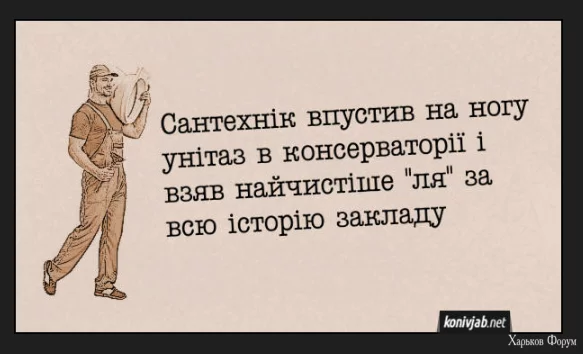 1702657358713.webp