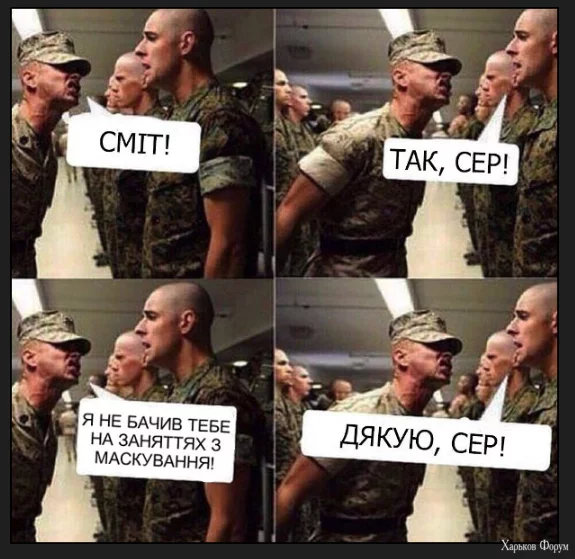 1702673387043.webp